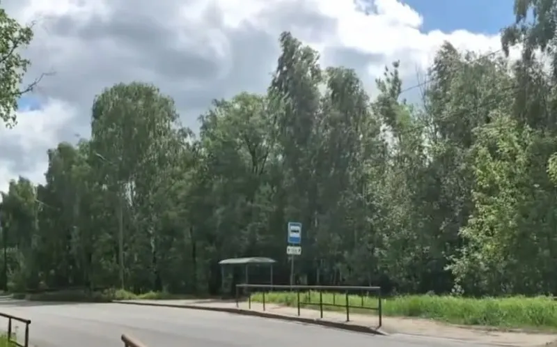 ДТП произошло 23 мая около 11:15 на Переборском тракте: женщина переходила дорогу по нерегулируемому пешеходному переходу. Пострадавшую госпитализировали, но она скончалась в пути.