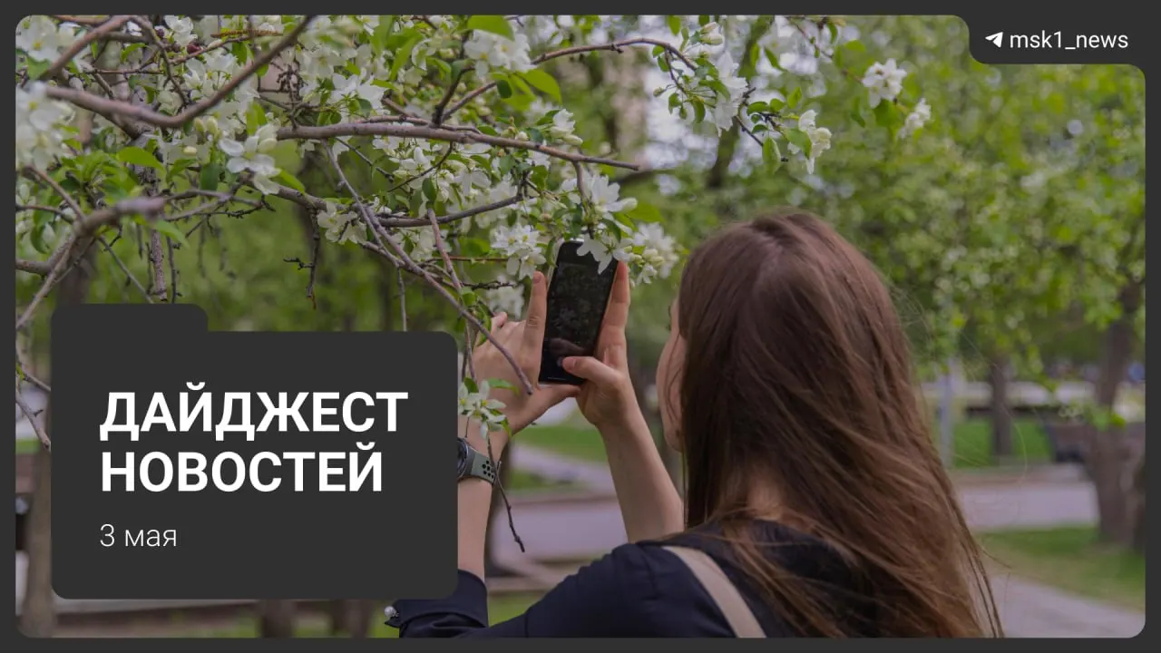 Короткий обзор основных региональных новостей за 3 мая: медицина, отдых на реках, книжные изъятия, новая набережная у «Москва‑Сити» и ДТП на воде в Красногорске.