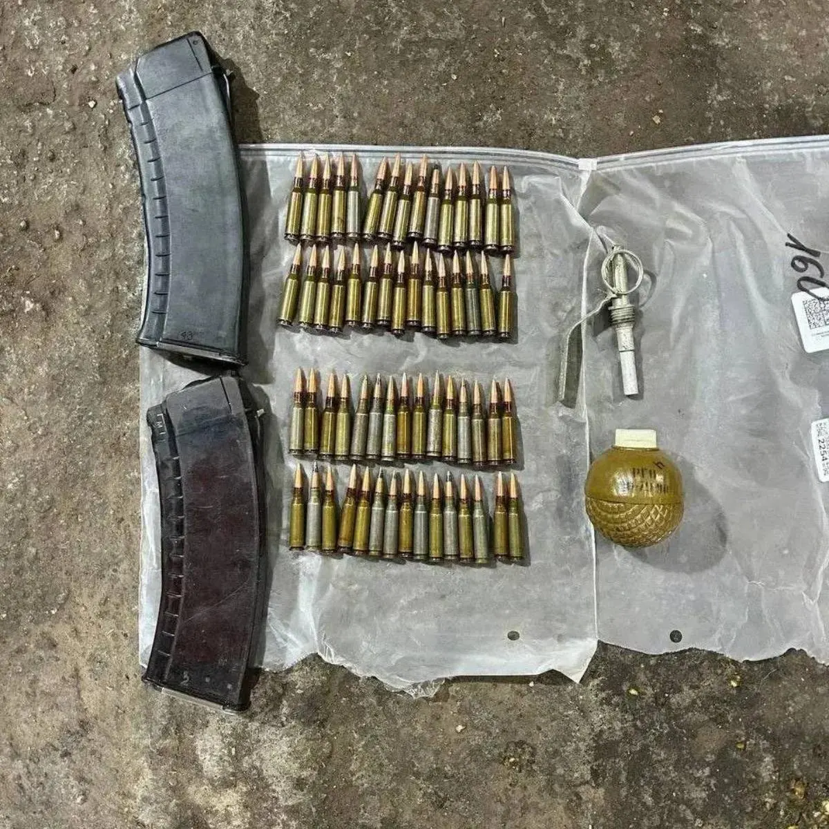 В гараже мужчины обнаружили два магазина для автомата Калашникова с 60 патронами, гранату РГО и запал; происхождение боеприпасов не уточняется.