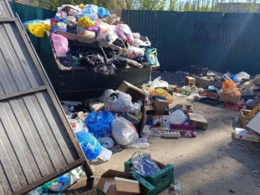 На улице Хользунова образовалась несанкционированная свалка: мебель, пищевые отходы и бутылки заняли часть проезжей части. Жители жалуются на запах и отсутствие реакции со стороны служб.