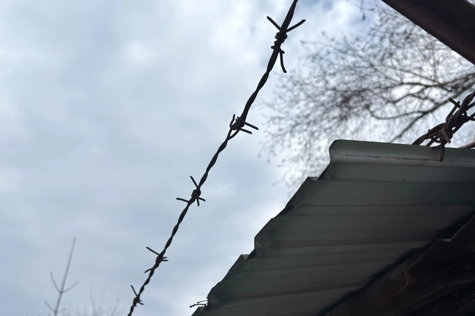 Жительницу Рязани обвиняют в убийстве сожителя: по данным следствия, ей вменяют несколько ножевых ранений в голову. Суд поместил подозреваемую под стражу.