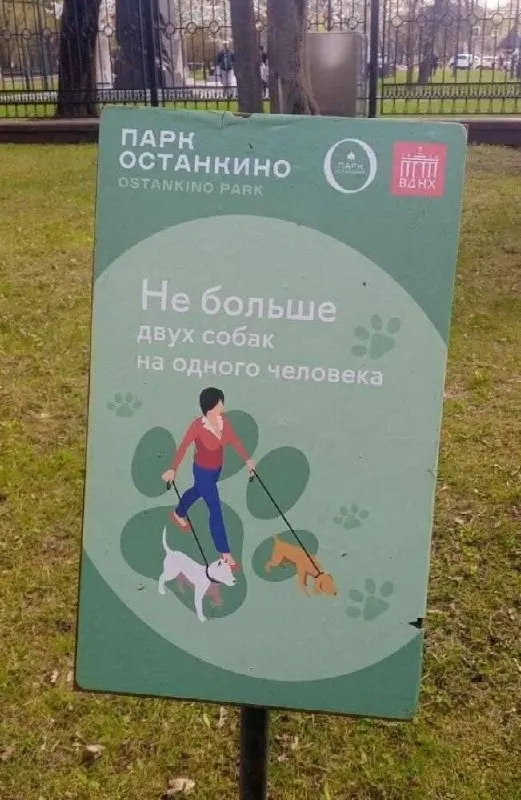 В Останкино одному человеку разрешено выгуливать не более двух собак; ограничение не зависит от размера животного.