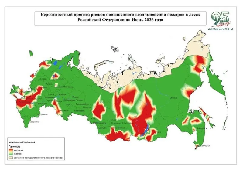 В июне повышается вероятность природных пожаров в ряде районов Ярославской области; в целом по стране риск прогнозируют в 44 регионах.