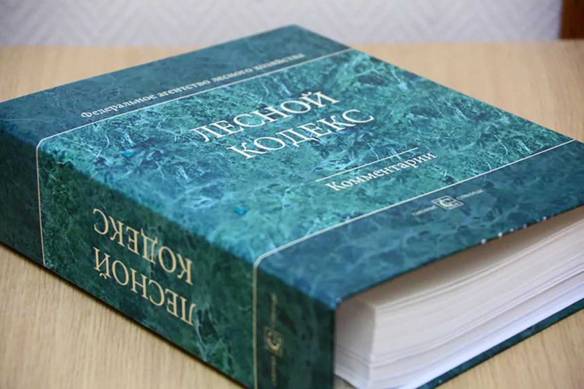 Лесной кодекс, принятый в 2006 году, претерпел 79 пакетов поправок; эксперт по лесному хозяйству считает, что накопившиеся изменения делают кодекс неработоспособным и предлагают создать новый, упрощённый документ.