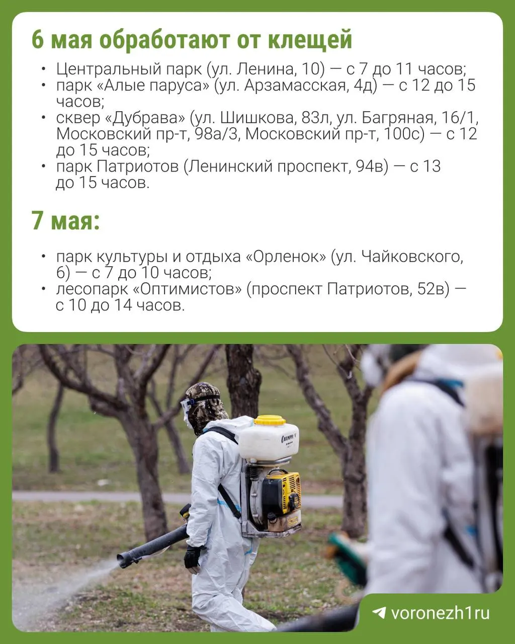 Две бригады проведут дезинсекцию 35 озеленённых территорий; препараты безопасны для людей и животных, но специалисты советуют не посещать парки во время работ и несколько часов после.