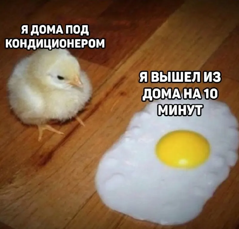 В Центральном федеральном округе температура достигнет уровней типичного июньского тепла; в Ярославле ожидаются кратковременные дожди и заметное похолодание к выходным.