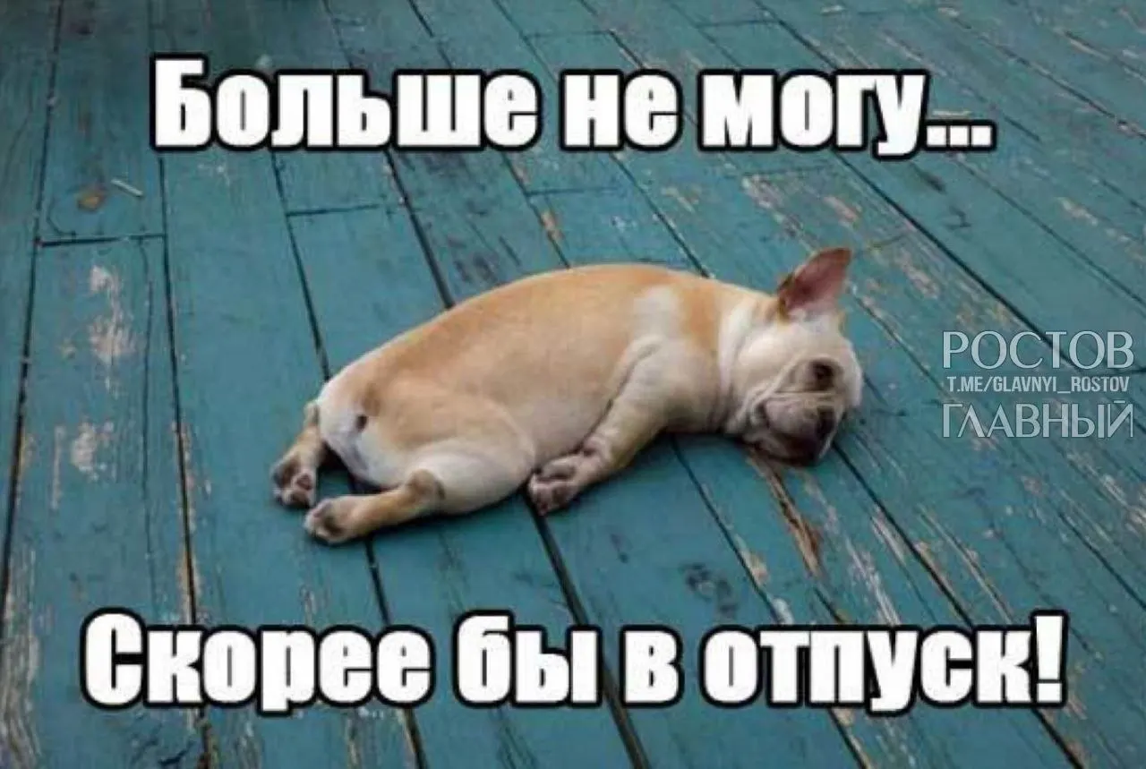 Депутаты инициировали повышение минимальной продолжительности ежегодного оплачиваемого отпуска с 28 до 35 дней — чтобы компенсировать входящие в отпуск выходные и снизить риск выгорания у работников.