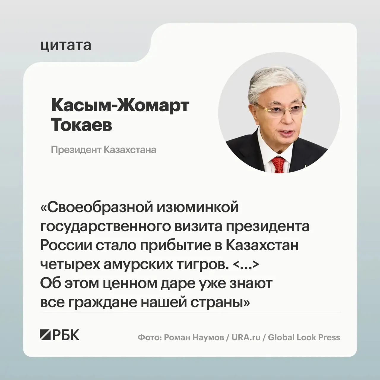 Россия передала в дар Астане семейство амурских тигров — решение принято после просьбы Казахстана о помощи в восстановлении вида.