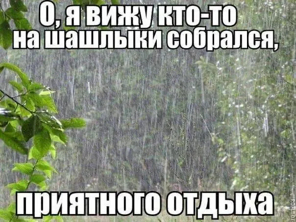 Синоптики предупреждают о кратковременных дождях и понижении температуры: в городе до +18° днем и до +4° ночью, в области ночами возможен холод до +1°. Потепления в начале июня не ожидается.