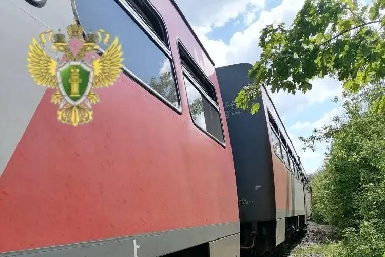 Утром 13 мая на участке движения электропоезда Белгород — Томаровка несколько вагонов сошли с рельсов. Движение приостановлено, на месте работают спасатели и сапёры, одна женщина госпитализирована.