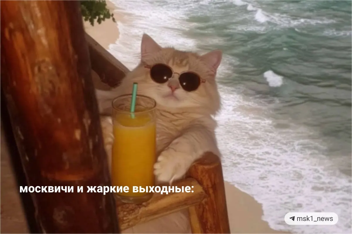 В реках Москвы и Подмосковья вода прогрелась до +17…+23°C; часть городских пляжей закрыта — где безопасно искупаться.