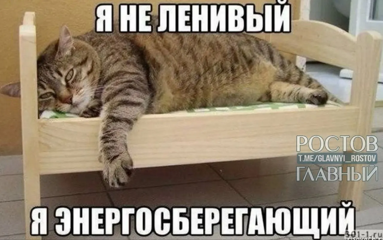 Опрос показал: жители Нижнего Новгорода, Перми и Воронежа чаще всего хотят сократить рабочий день до шести часов, в Санкт‑Петербурге многие мечтают вовсе не работать, а больше всего трудоголиков оказалось в Краснодаре и Ростове‑на‑Дону.