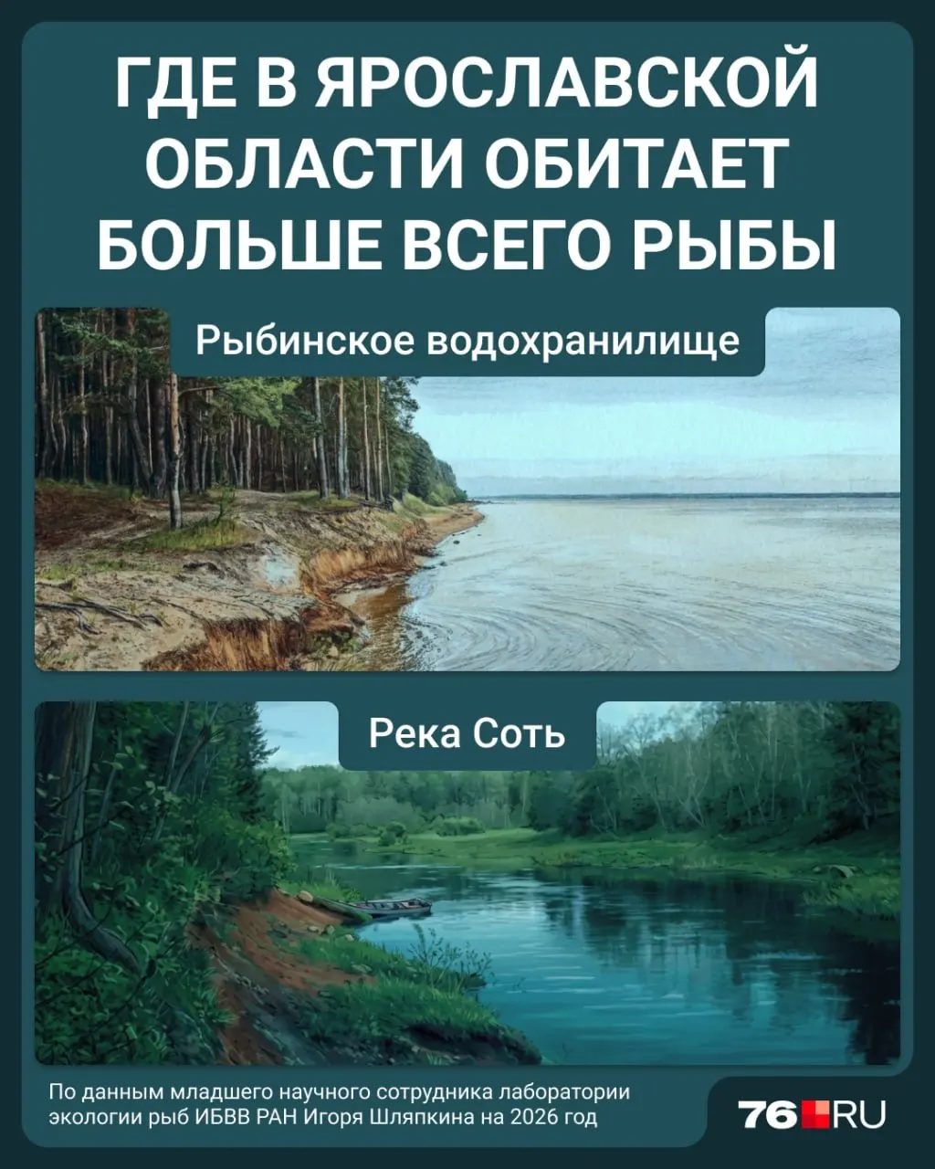 Ихтиолог Игорь Шляпкин отметил, что Рыбинское водохранилище и река Соть — самые перспективные места для ловли рыбы в регионе; в Соти водится лещ, судак, плотва и другие виды.