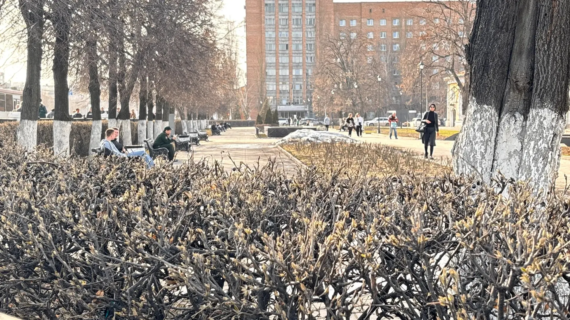 3 июня воздух прогреется до +25°С; значительных осадков не ожидается.