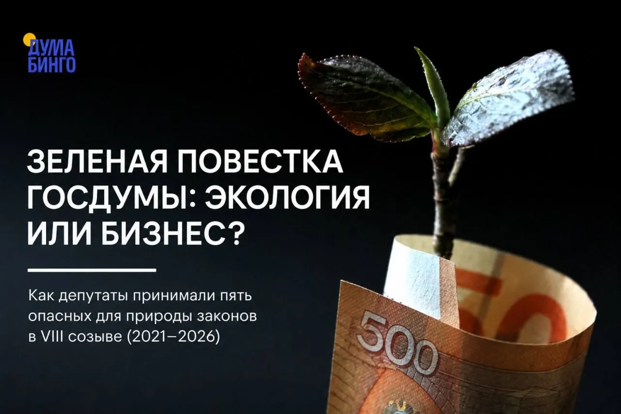 За последние годы в Госдуме прошла серия инициатив, которые, по мнению экологов, ограничивают общественную экспертику, уменьшают охранный режим заповедных территорий и упрощают правила добычи редких видов.