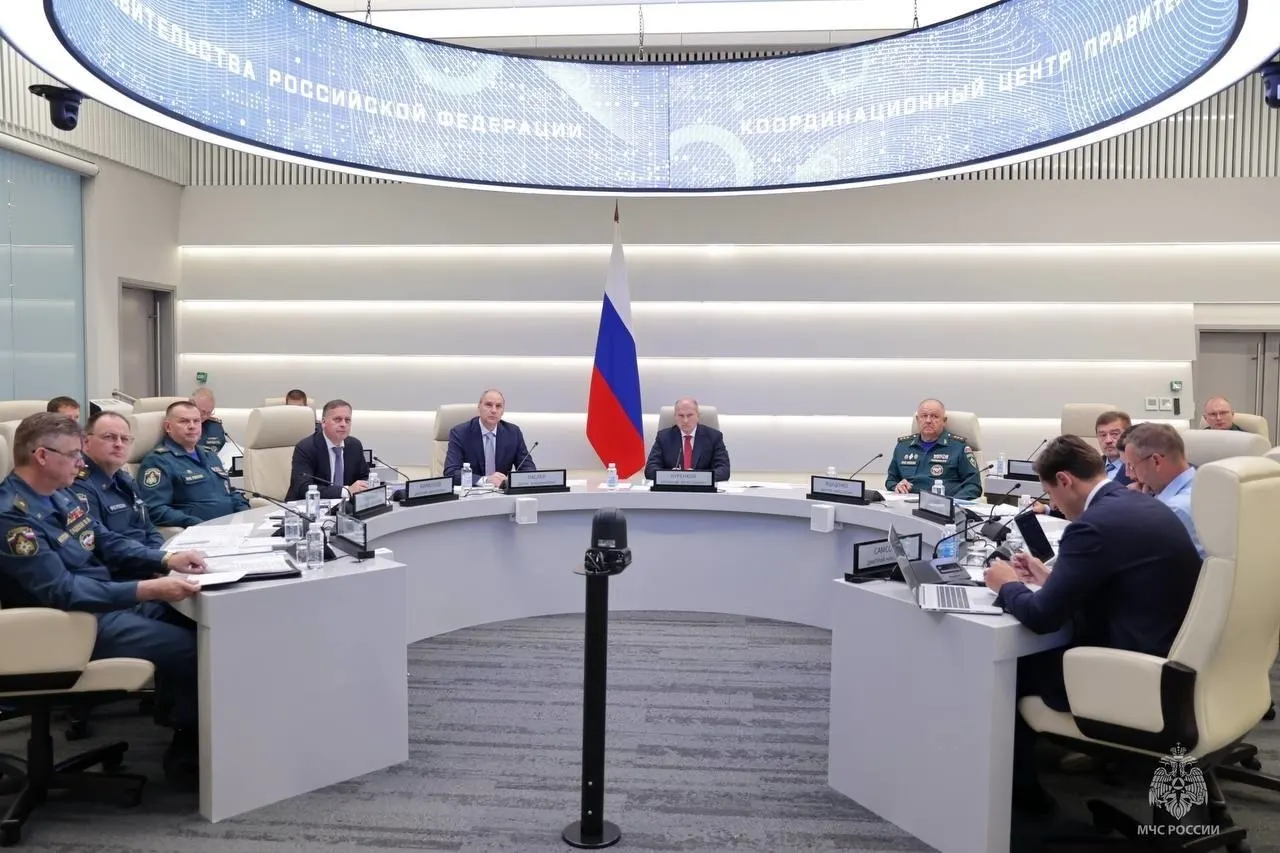 Никулинский районный суд Москвы поместил под домашний арест руководителя финансово‑экономического департамента МЧС по делу о мошенничестве в особо крупном размере. Обвинения связаны с получением жилищных субсидий для сотрудников ведомства.