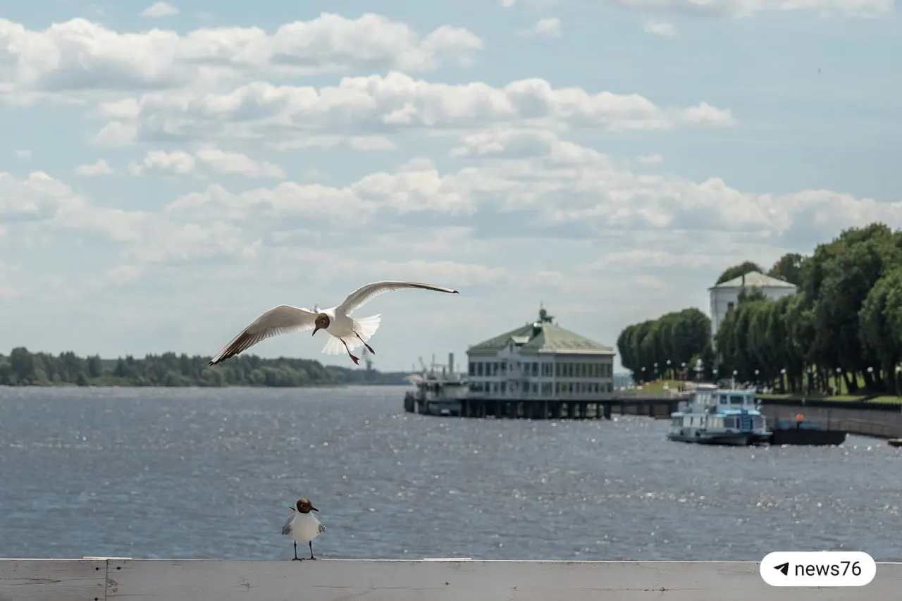 Днём до +25°, преимущественно облачно, возможны прояснения.