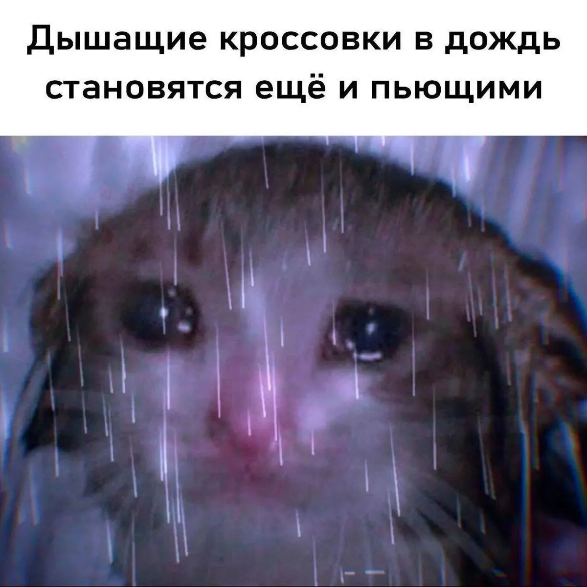 Прогноз погоды в&nbsp;Воронеже на&nbsp;июнь