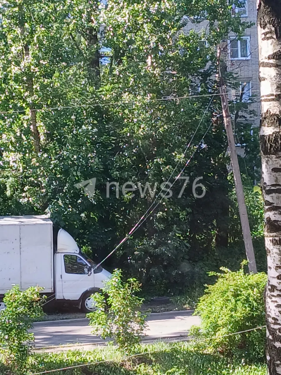 Дерево упало перед&nbsp;домом на&nbsp;проезде Ушакова, 7&nbsp;— перекрыт проезд