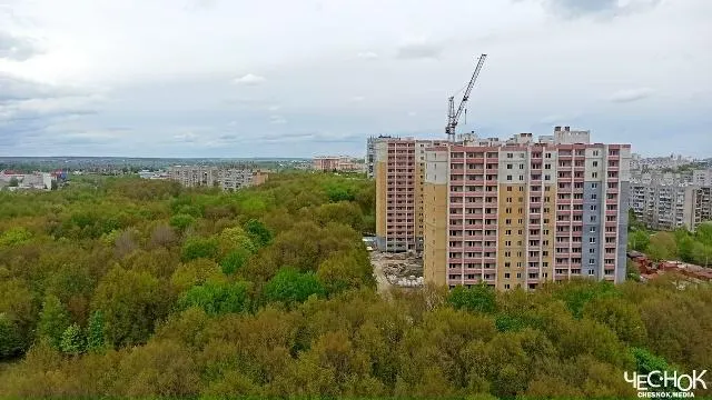 Мэр утвердил план, по которому часть деревьев вырубят, проложат дорогу и построят высотки на лугу. Активисты опасаются утраты зоны отдыха и намерены оспорить решение в суде.