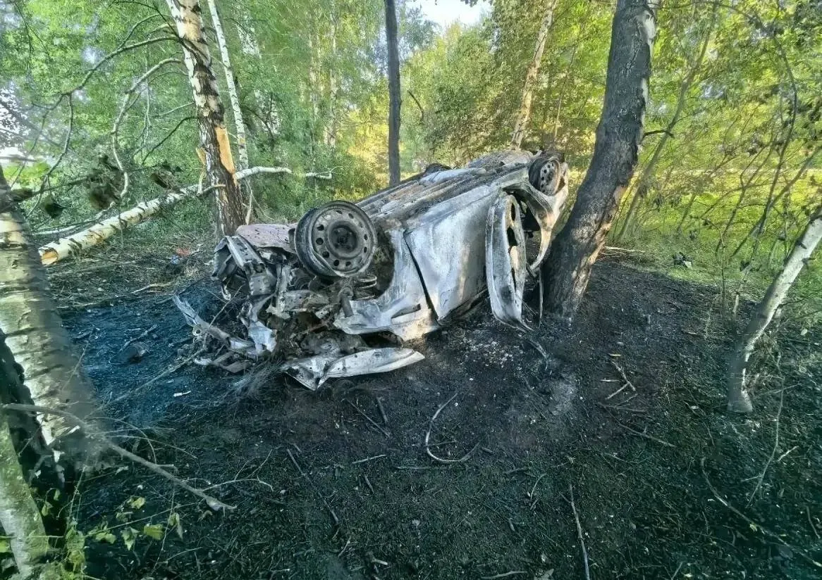 Ночью на дороге «Курск—Борисоглебск—Панино—Эртиль» 17‑летний водитель съехал в кювет, автомобиль врезался в дерево и загорелся. Полиция проводит проверку.