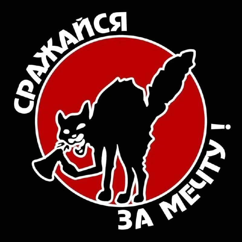 В обновлённый список попали социолог Елена Конева, проект «Крымская солидарность», оппозиционное издание и анархистское объединение «Автономное Действие». Это влечёт за собой дополнительные правовые ограничения для включённых в реестр.