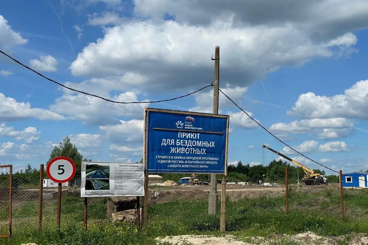 В деревне Минеево начался первый этап строительства приюта для безнадзорных животных. В комплексе предусмотрены карантин, ветеринарный пункт, отапливаемые и неотапливаемые павильоны и площадки для выгула.