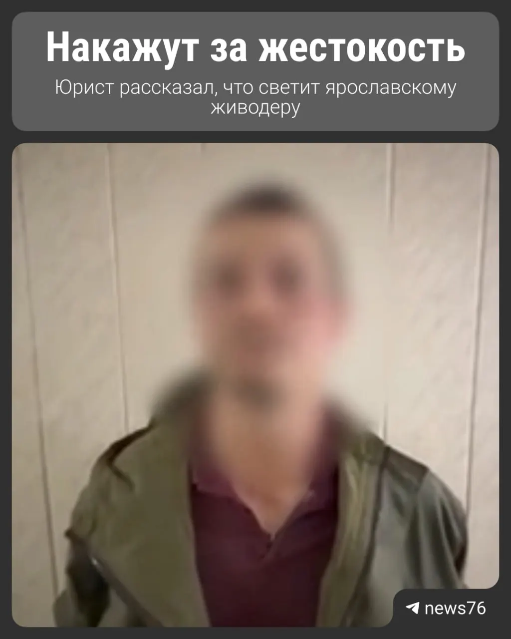 В одном из дворов Ярославля мужчина убил домашнюю кошку — инцидент зафиксировала камера. По факту возбуждено уголовное дело, подозреваемый отпущен под подписку о невыезде, он признался в содеянном.