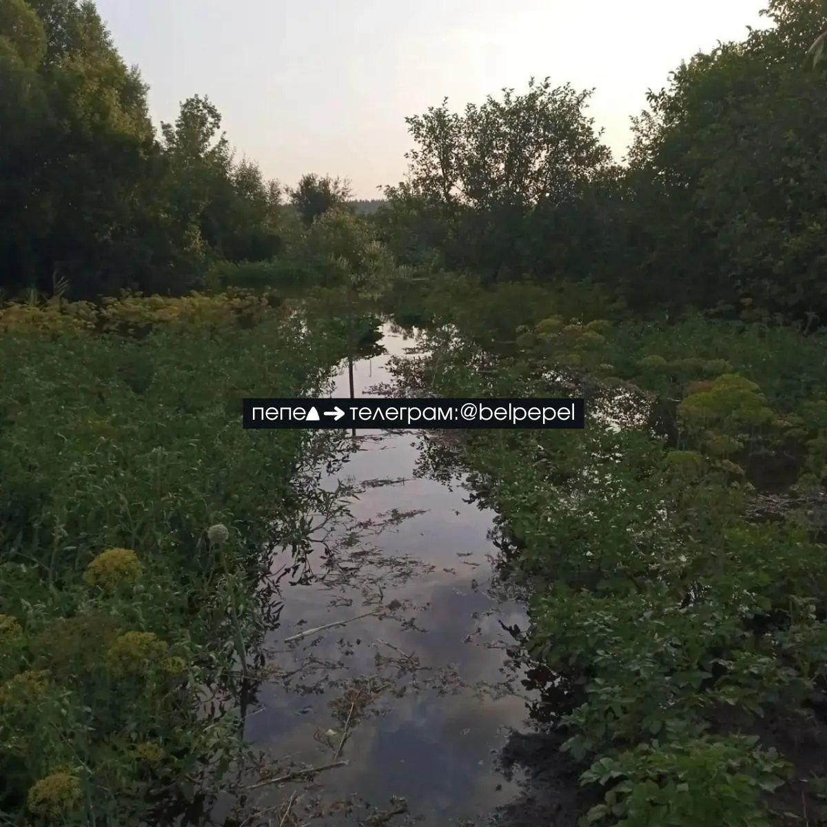 Плотина прорвалась по всей длине водосброса — около 35 метров. Вода идёт неконтролируемо, река Нежеголь быстро наполняется и подтопляет населённые пункты ниже по течению, в том числе село Архангельское.