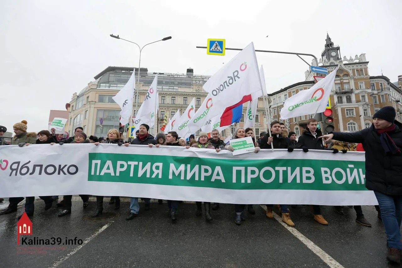 Регистрация федерального списка «Яблока» объясняют желанием властей канализовать протестные настроения в безопасное русло: партия позволяет недовольным выразить позицию, не угрожая итогам выборов, хотя многие известных её членов были отстранены от участия.