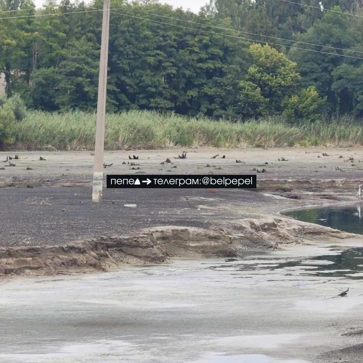 После прорыва плотины Белгородского водохранилища уровень воды в регионе резко изменился: участок реки Разумная обмелел, ниже по течению начались подтопления, а по спутниковым данным водохранилище за несколько дней потеряло до 35% воды.