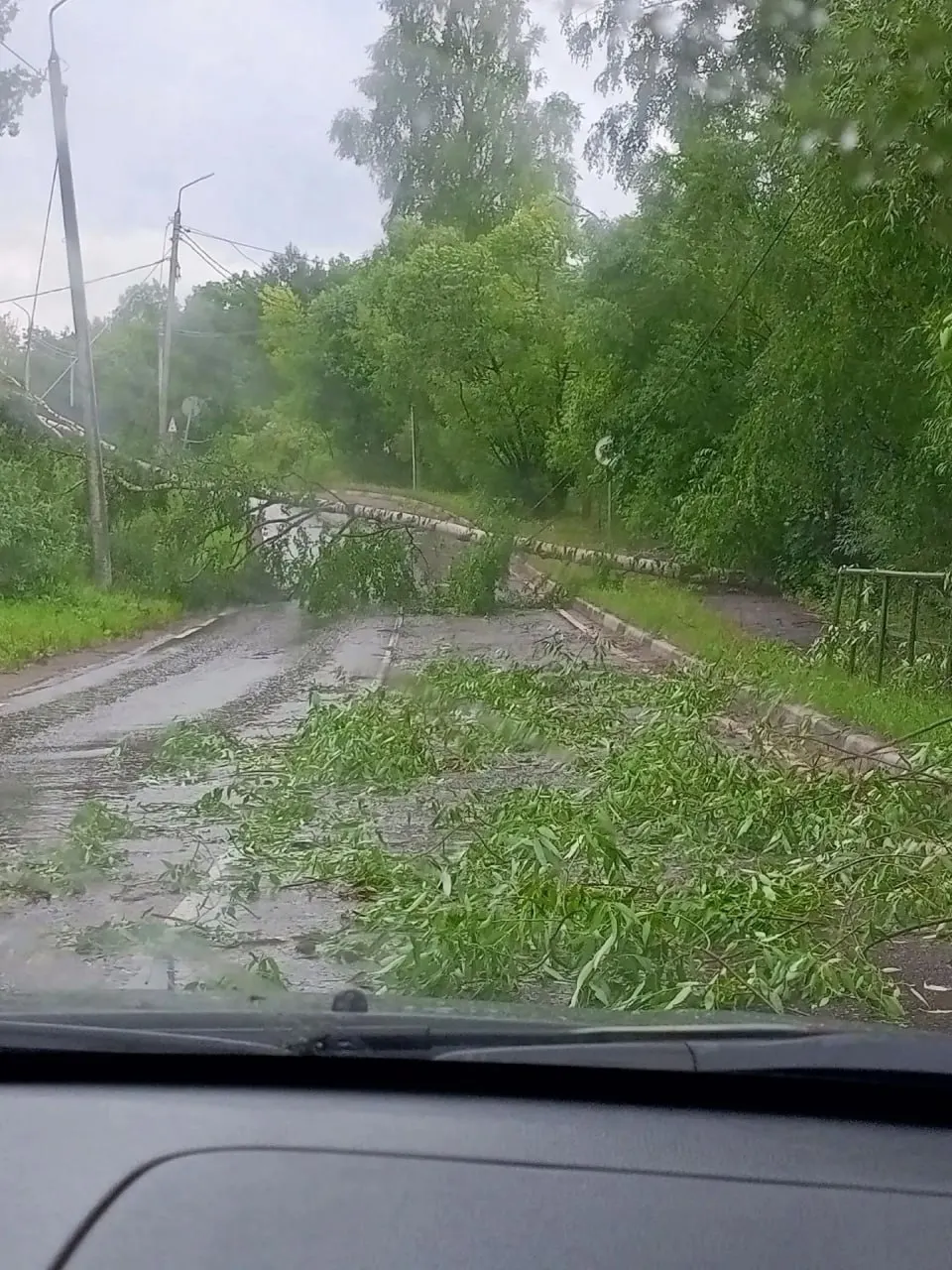 В результате непогоды в Ярославле повалены деревья и повреждены линии электропередачи — энергетики устраняют нарушения, повышенное внимание в нескольких округах.