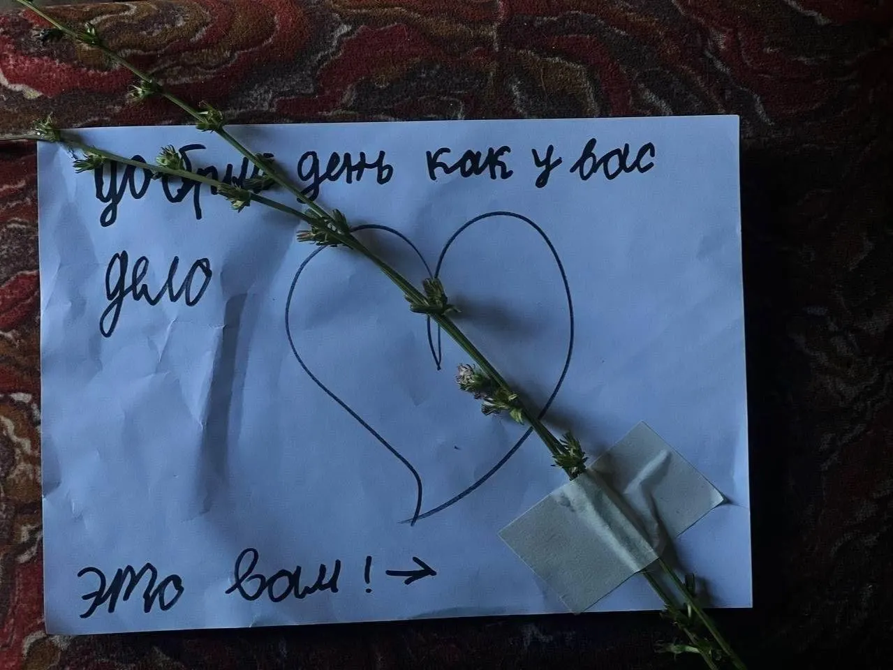 Бывшие бойцы, давшие показания по делу ЧВК «Ястреб», сообщают о слежке, угрозах в почтовых ящиках и задержаниях; ещё несколько свидетелей отмечены как находящиеся под давлением или пропавшие без вести.