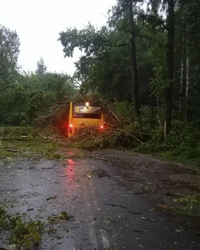 30 июля в Заволжском районе Ярославля дерево рухнуло на автобус: в салоне разбиты окна, но находившийся в салоне водитель не пострадал, транспорт отправлен на ремонт.