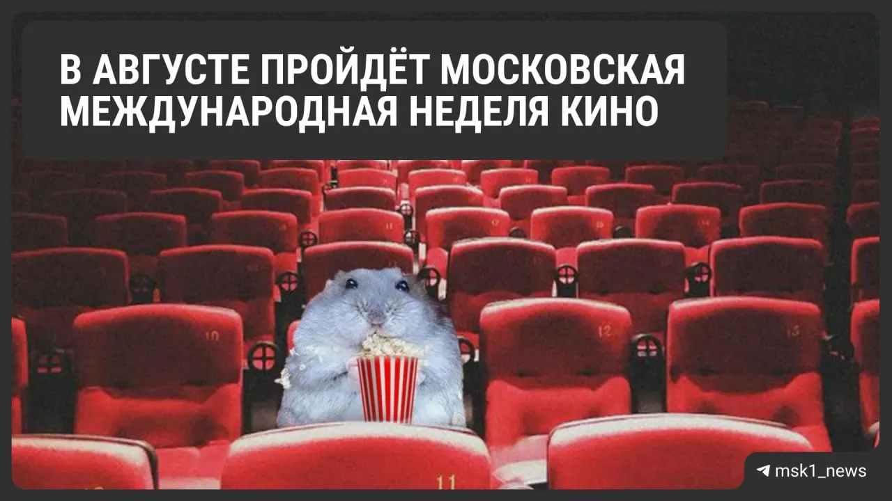 В столице пройдет Международная неделя кино: показы российских и зарубежных новинок, встречи с кинематографистами, лекции и мастер‑классы на нескольких площадках, включая кинозавод и передвижной кинотеатр.