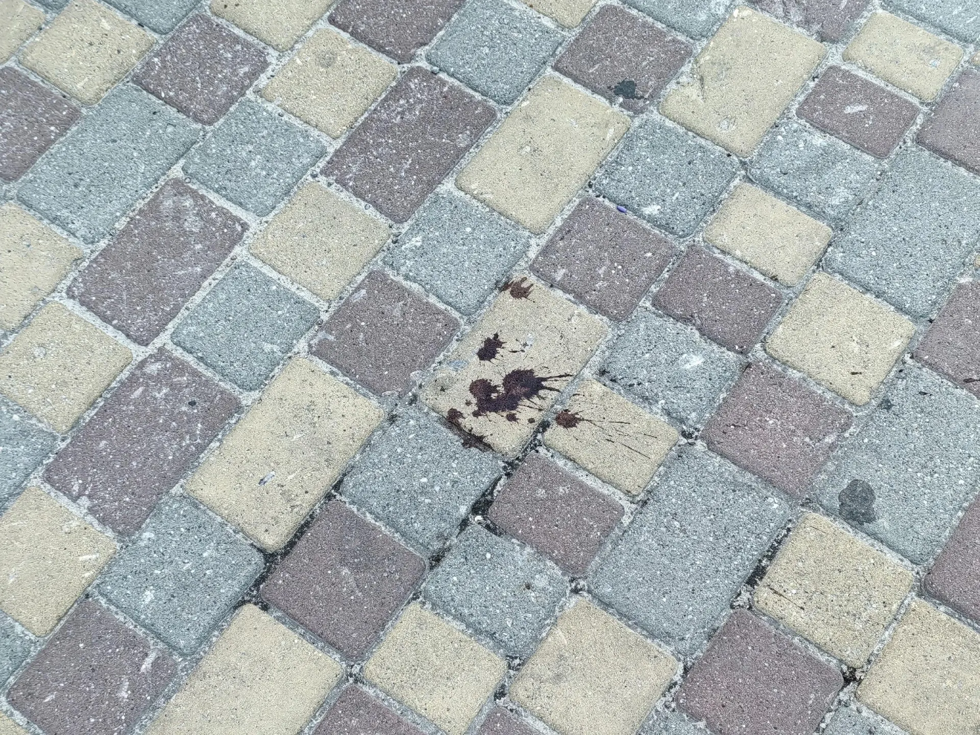 На Олимпийском бульваре в Воронеже на тротуаре заметны капли крови — словесная перепалка переросла в поножовщину, в результате которой произошла гибель человека. Подробности происшествия уточняются.