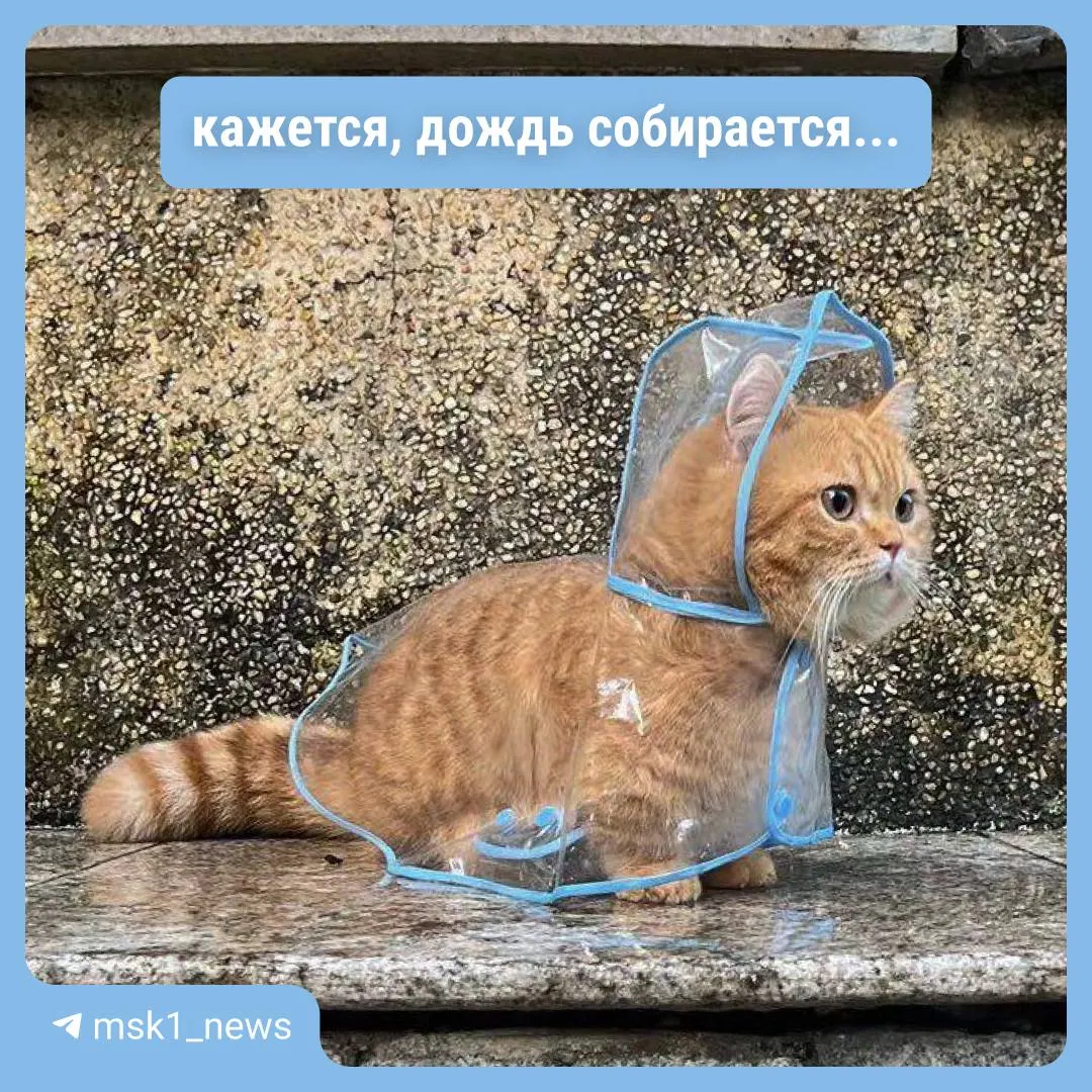 Ожидаются сильные кратковременные осадки и грозы: в ближайшие дни температура понизится, в городе объявлен «жёлтый» уровень опасности.