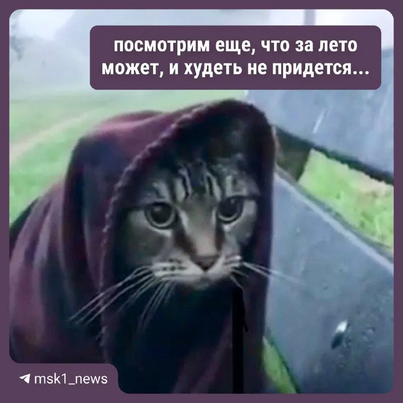 На последней неделе июля в столице прогнозируют усиление гроз и ливней: выпадение осадков может приблизиться к месячной норме, в отдельные дни ожидаются экстремальные ливни.
