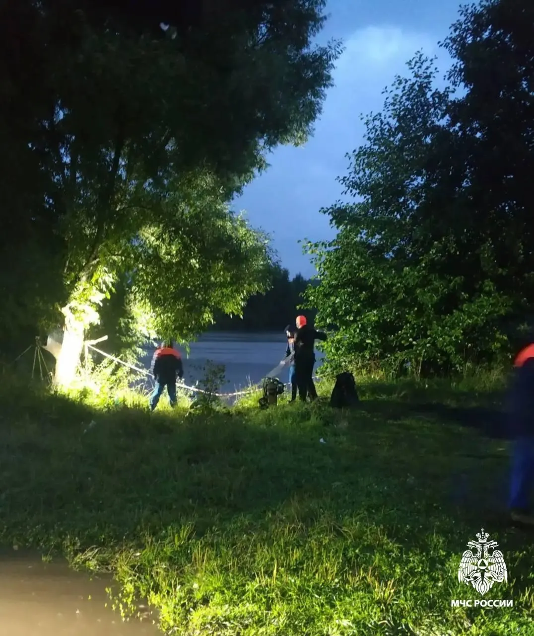 Во время игры у пруда ребёнок попытался достать упавший мяч и исчез под водой в пяти метрах от берега.