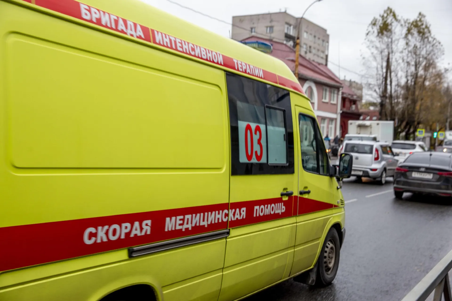 В результате удара в пригороде Воронежа погиб трёхлетний ребёнок. В министерстве здравоохранения рассказали о состоянии его родителей — им оказана медицинская помощь, их состояние контролируют врачи.