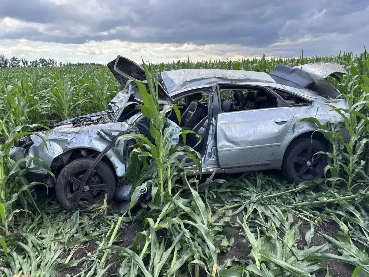 В Воронежской области в результате дорожно-транспортного происшествия погиб пассажир иномарки. По предварительным данным, водитель не справился с управлением.