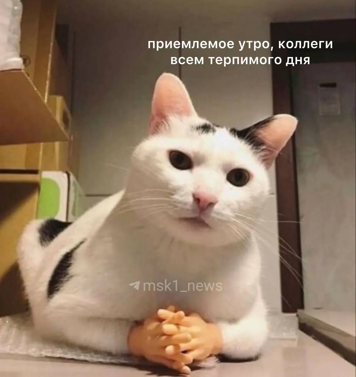Сегодня в столице тепло — до +24 °C, ветер до 6 м/с. Возможно кратковременное утреннее ослабление дождя.