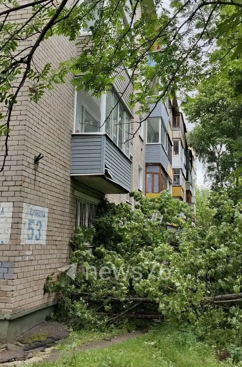 Во дворе жилого дома упал ствол дерева — вероятно, причиной стали порывы ветра. Жителям советуют быть осторожнее на улице.