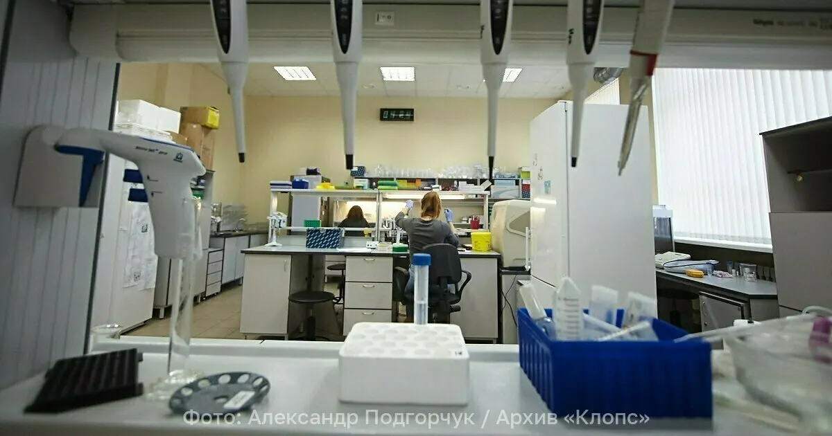 Исследователи БФУ им. Канта совместно с коллегами из Санкт‑Петербурга и Москвы предложили способ производства экологичного биодизеля на основе микроводорослей рода Scenedesmus.