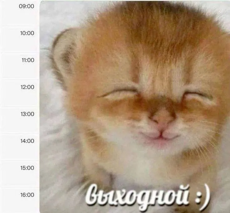 Днём столбики термометров поднимутся до +19…+22°. Последняя неделя июля будет тёплой, но с усилением гроз и дождей.