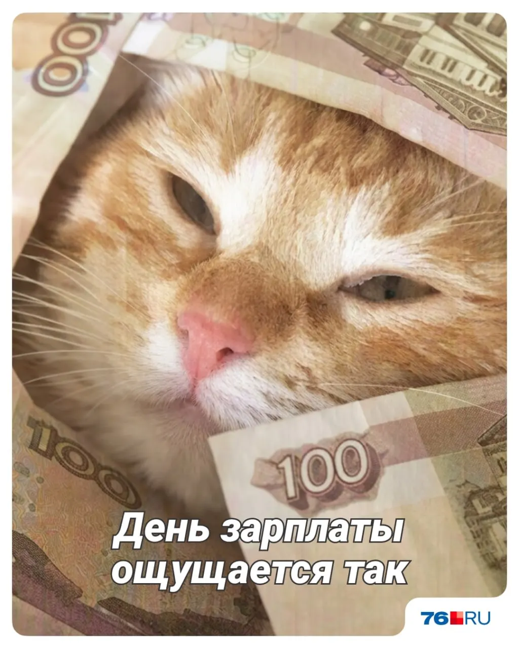 Аналитики сервиса выделили пять вакансий в Ярославской области с зарплатами от 210 до 402 тысяч рублей; основное требование работодателей — опыт.
