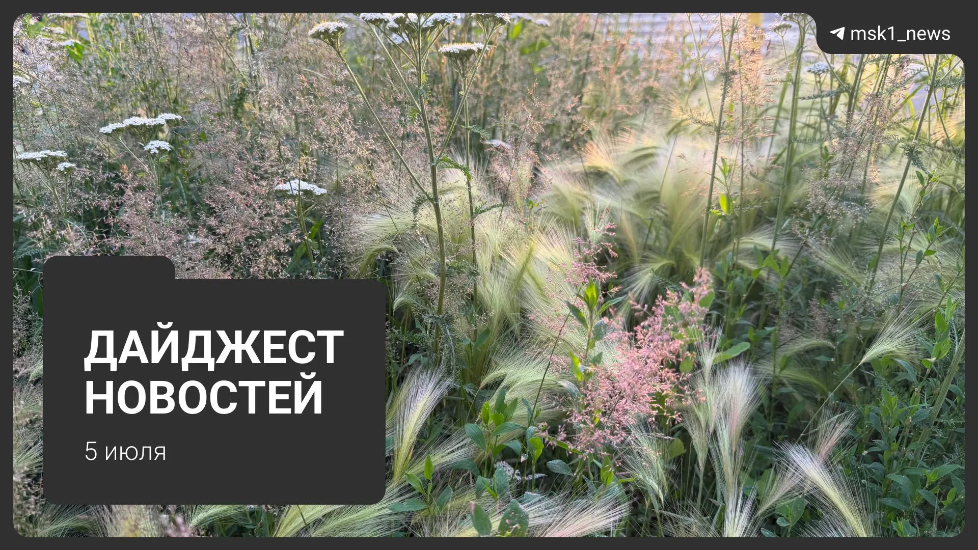 Короткий обзор: атака БПЛА в Егорьевске, временные ограничения на вход в метро «Парк культуры», прогноз дождей в Москве и смертельное ДТП в Подмосковье.