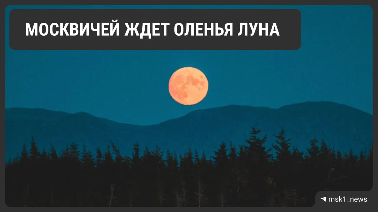 В ночь на 29 июля над Москвой можно увидеть июльское полнолуние — «Оленью Луну». У горизонта Луна может казаться розовой или оранжевой; в столице она восходит примерно в 21:26.
