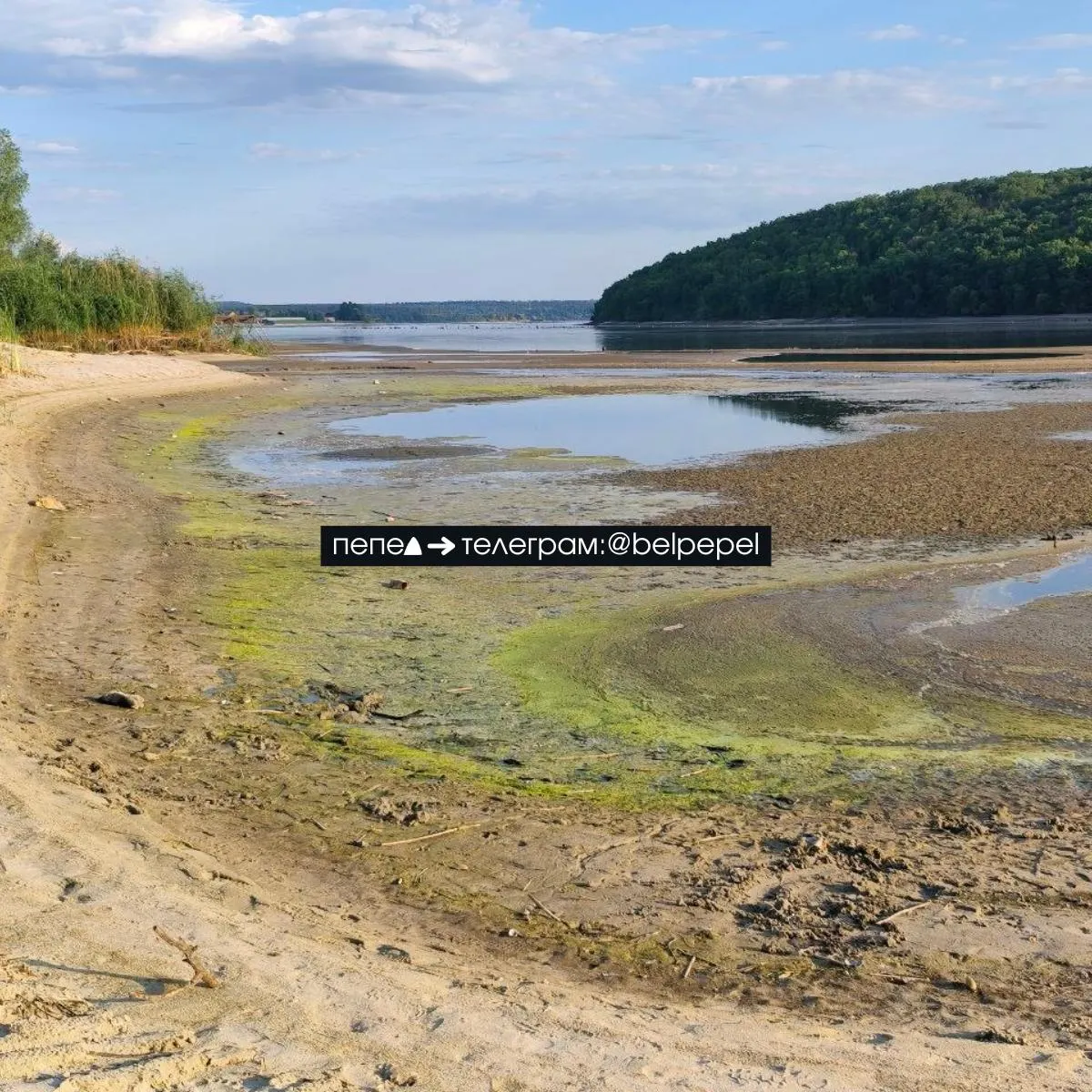 Плотина Белгородского водохранилища прорвана: спутниковые снимки фиксируют бесконтрольный сброс, потерю до 35% воды за несколько дней, образование отмелей и подтопления населённых пунктов ниже по течению. Наблюдается массовая гибель рыбы и ущерб экосистеме.