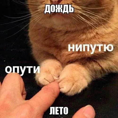К середине недели в Воронеже ожидается потепление до +30°C; в ближайшие дни возможны кратковременные дожди с грозами и яркими закатами.